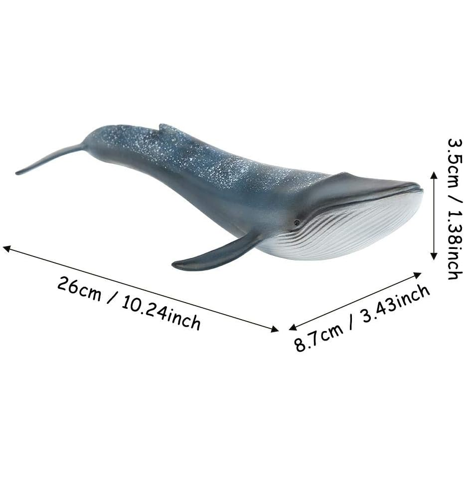 Figurină Balenă Albastră, Jucărie Educativă Realistă din PVC, Model Miniatural Marin pentru Copii, Colecționari, Profesori, Decor Acasă [6]