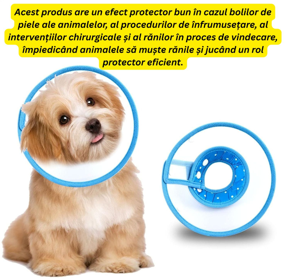 zgarda-conica-protectie-pisici-caini-yisight-marimea-s [3]