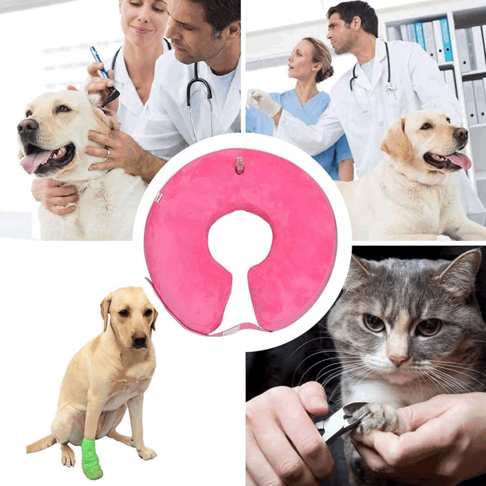 Guler Medical, Gonflabil si Protector pentru caini si pisici,T.T. WALK, marime M 20-35 cm, L2B1 [4]