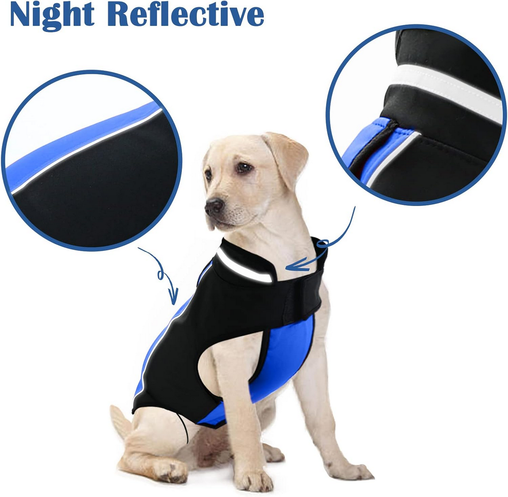 Haină de Iarnă pentru Câini, Reflectorizantă, Fleece Interior, Impermeabilă și Rezistentă la Vânt, cu Închidere Velcro, BOTEWO, Albastru [6]