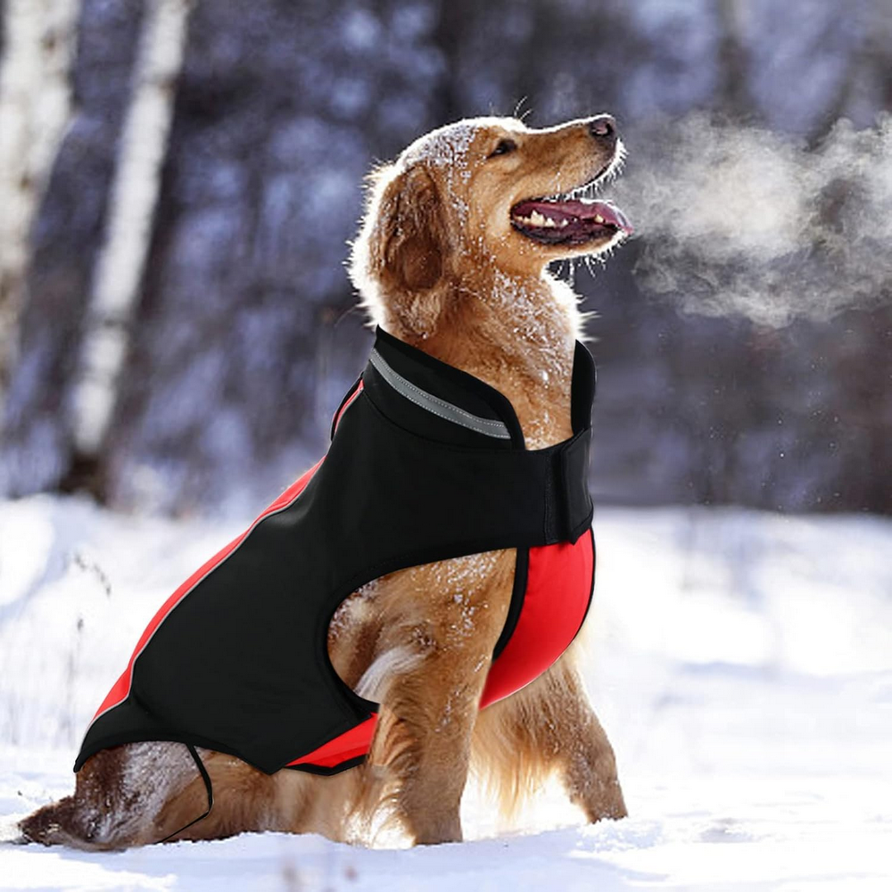 Haină de Iarnă pentru Câini, Reflectorizantă, Fleece Interior, Impermeabilă și Rezistentă la Vânt, cu Închidere Velcro, BOTEWO, Rosu [7]