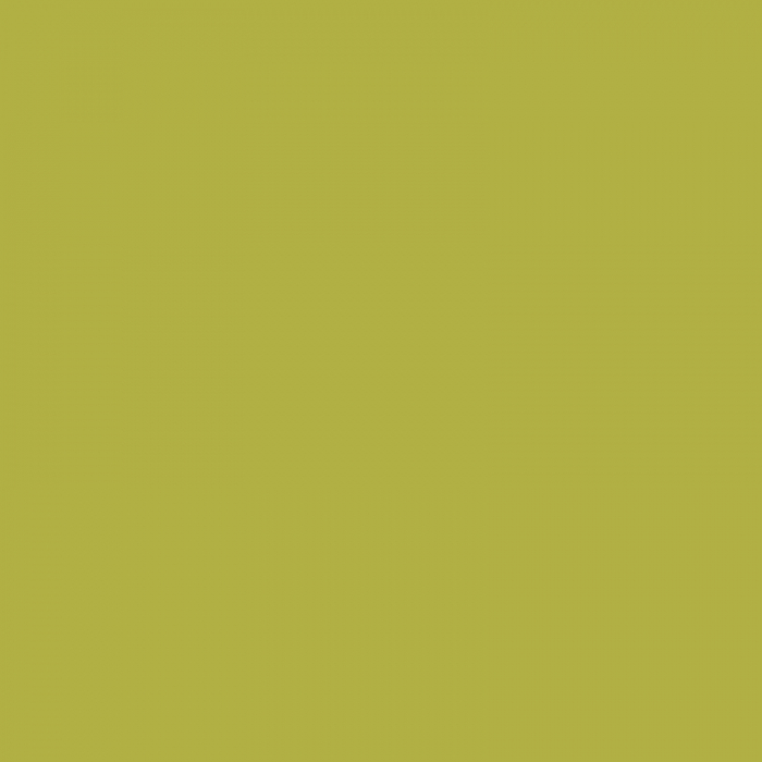 Lac colorat, Histor, pe baza de terebentina, Interior si exterior,verde-6923, 750 ml [3]