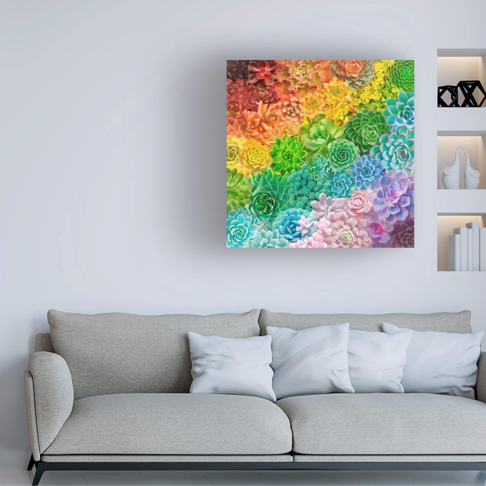 Pictura pe Numere pentru Adulți, ”SUCCULENT RAINBOW”, TISHIRON, 40x50 cm [2]