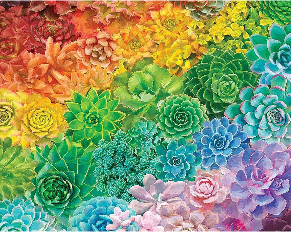 Pictura pe Numere pentru Adulți, ”SUCCULENT RAINBOW”, TISHIRON, 40x50 cm [1]