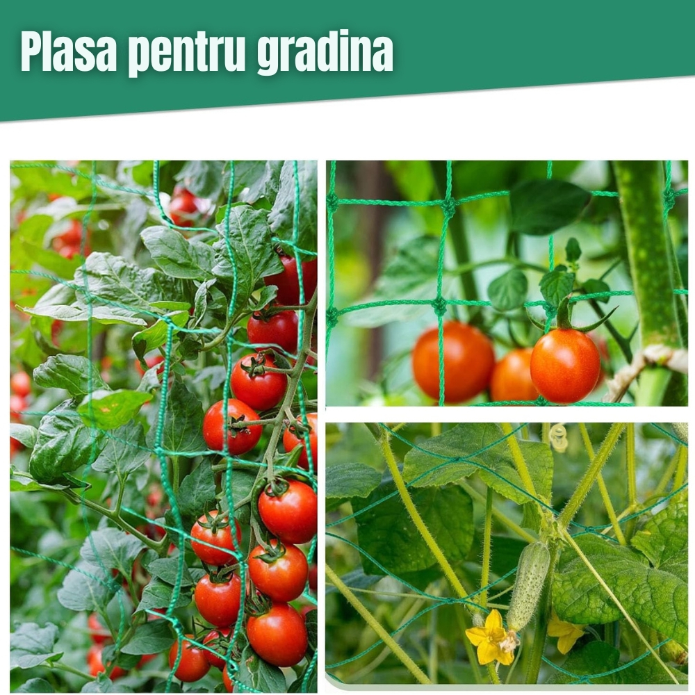 Plasa gradina pentru plante cataratoare, suport castraveti verde [2]