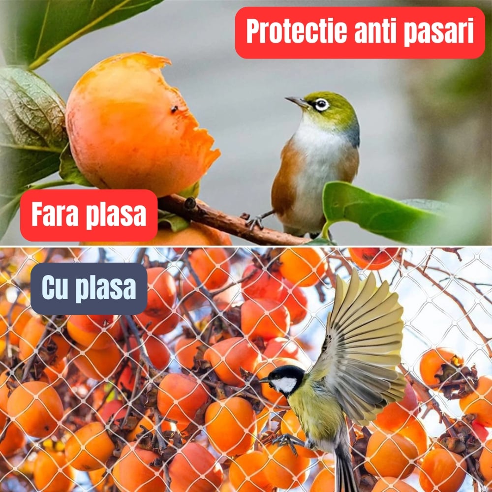 Plasa protectie pisici 5x5 m, balcon si fereastra, anti evadare, Diagonala ochi 3 cm, Nylon rezistent, Discreta si Rezistenta, montaj fara gaurire, Protectie anti pasari [5]