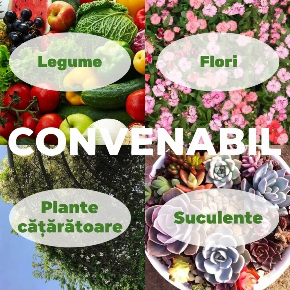 saci-plantare-valuehall-material-netesut-19l-cu-manere [6]