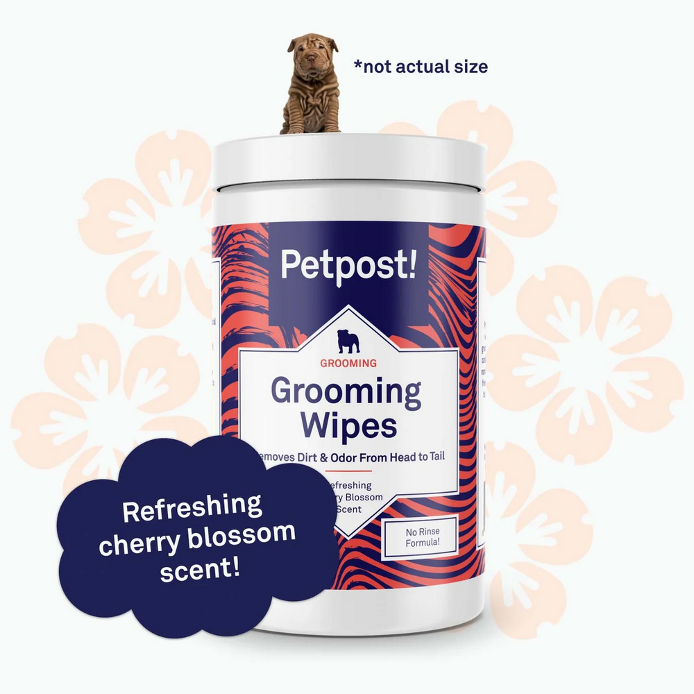 Servetele umede pentru caini, parfum Cherry Blossom, 70 bucati, ultra moi din bumbac, pentru curatare si ingrijire,Petpost [4]