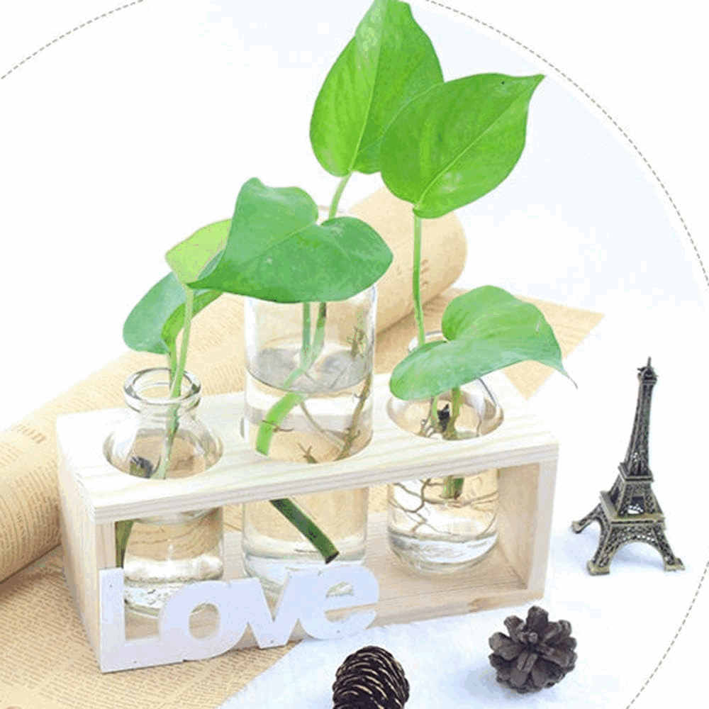 Set 3 Vaze din Sticla cu Suport din Lemn, Decorative pentru Hidroponice, Love, U5XV [2]