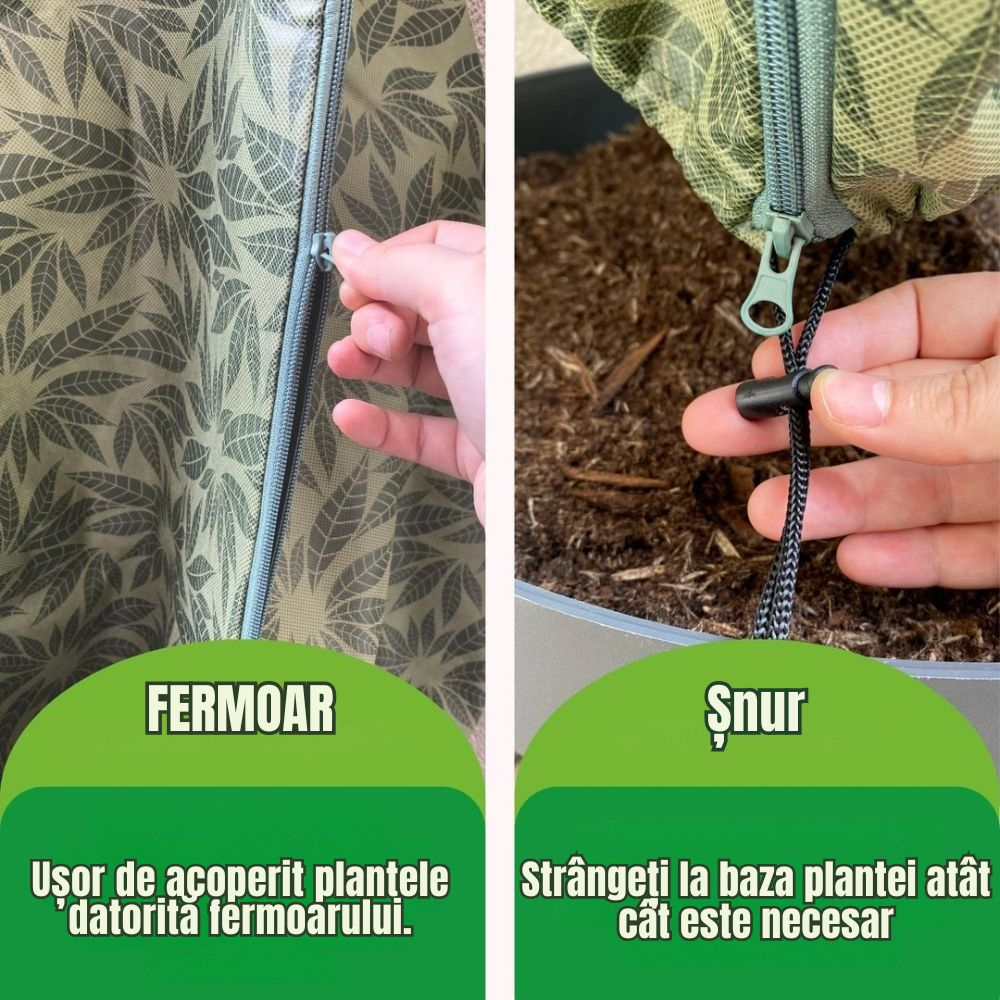 Husa antiinghet plante 180x120cm 60g/m² – protectie impotriva gerului si inghetului [5]