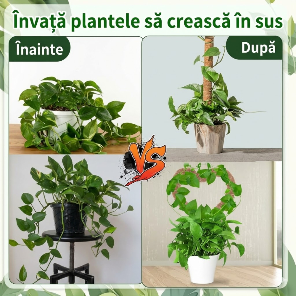 set-suporturi-plante-cocos-70cm-monstera-flexibile.jpg [6]