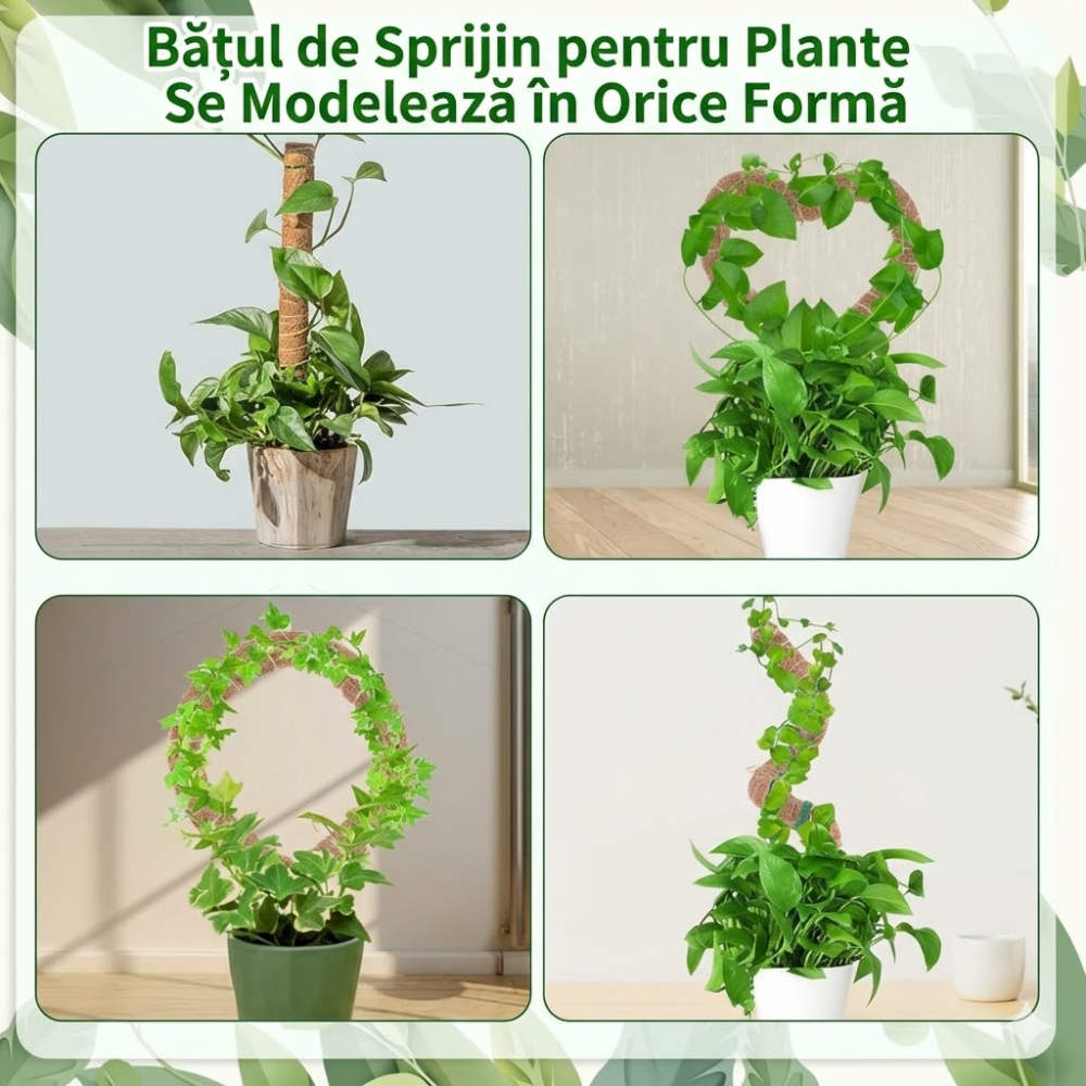 set-suporturi-plante-cocos-70cm-monstera-flexibile.jpg [7]
