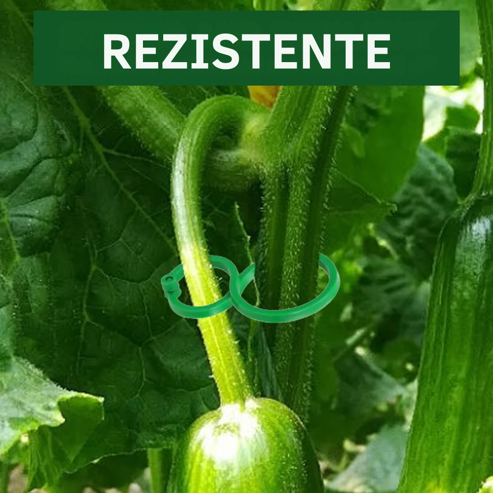 Set 500 cleme plante gradina reutilizabile pentru sustinere rosii si plante cataratoare [4]