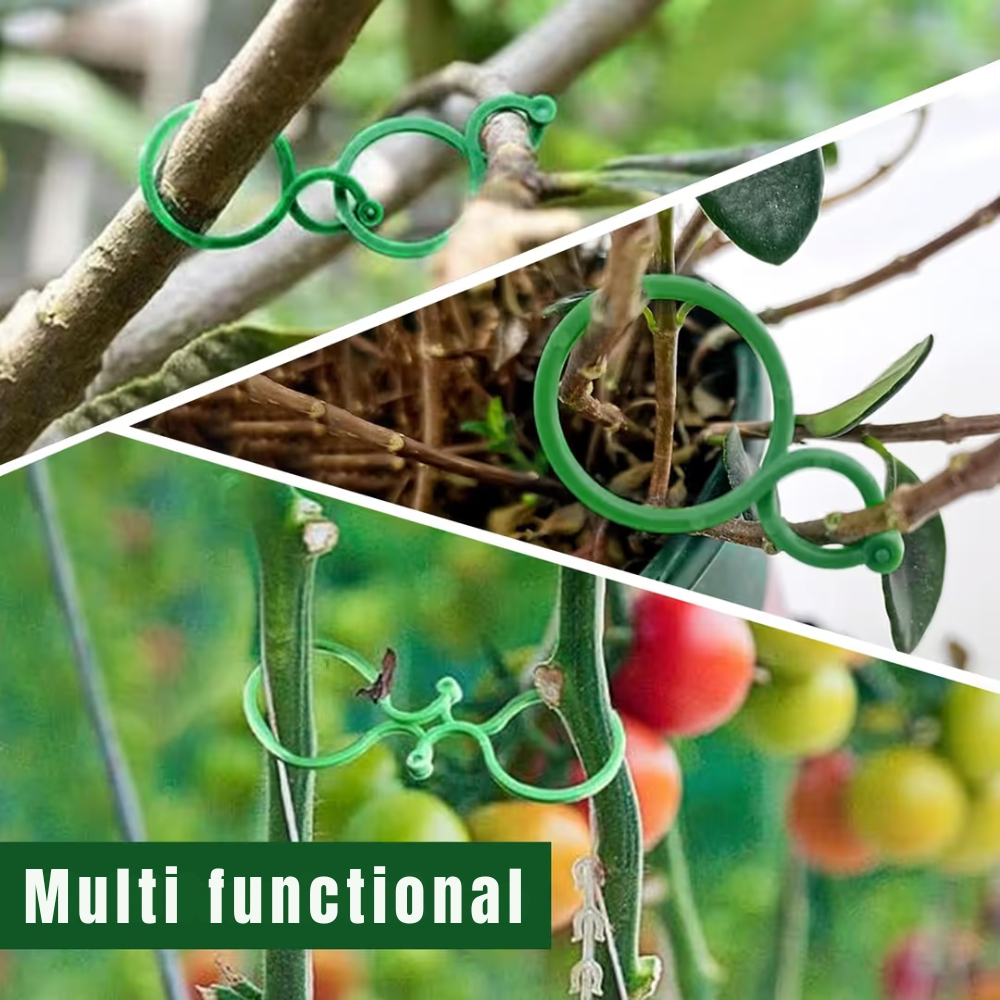 Set 500 cleme plante gradina reutilizabile pentru sustinere rosii si plante cataratoare [5]