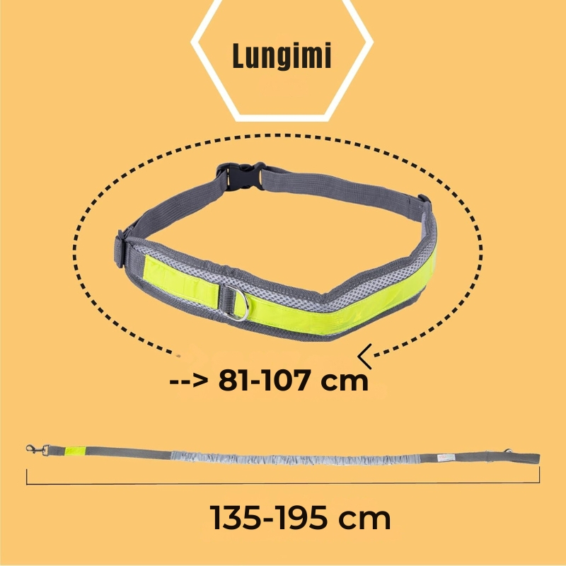 Set Lesa Hands-Free pentru Alergat impreuna cu Cainele si Centura Reglabila pentru Stapan cu Borseta si Saculet, Reflectorizanta, Elastica [5]