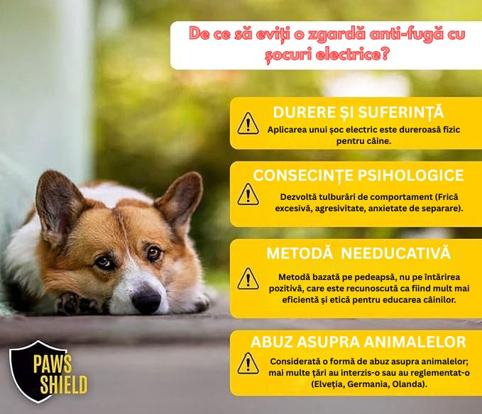 zgarda-anti-evadare-caini-gard-invizibil-150m-fara-soc-paws-shield [5]