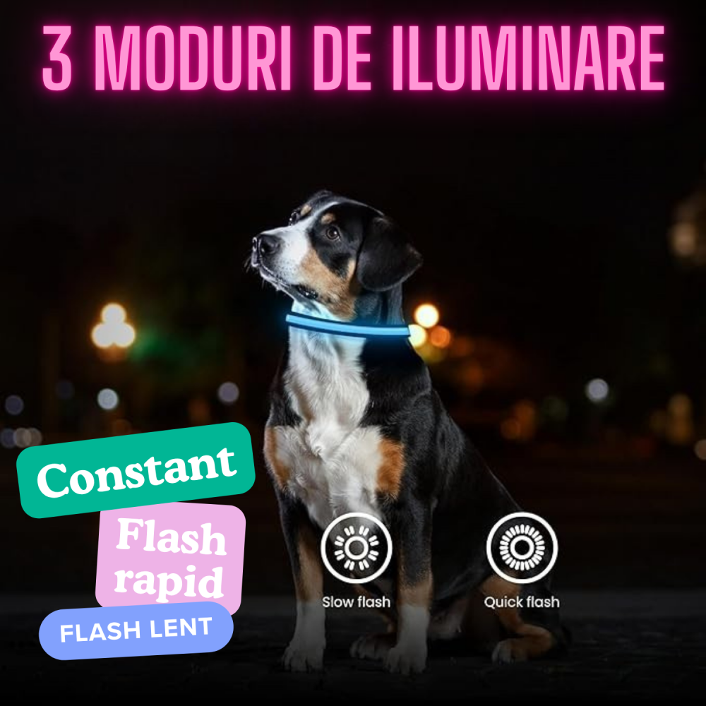 zgarda-led-caine-albastra-small-30-40cm [2]