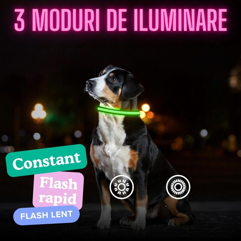 zgarda-led-verde-caine-m-40-50cm-usb-reincarcabila [4]