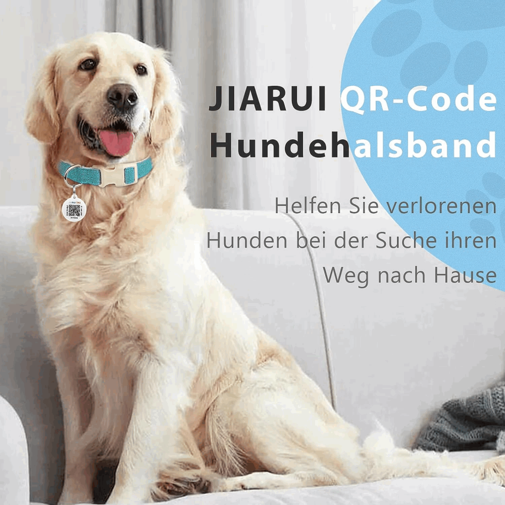 Zgarda pentru Câine cu Etichetă QR Code, personalizata, marime M, culoare albastru, ZM0F [3]