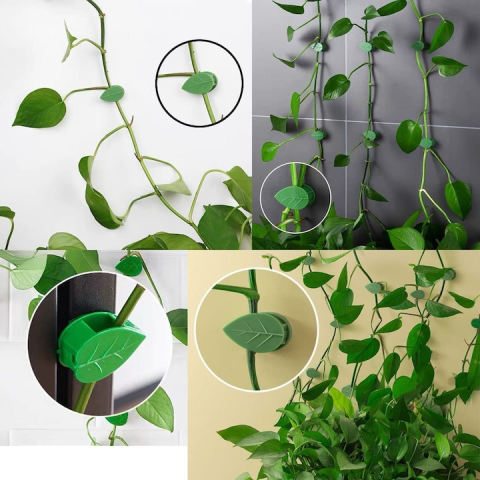 Cleme Agatat Plante Perete, Set 40, Adeziv 3M, Model Frunza si Melc, Verde, Suport plante agatatoare, Reutilizabile [4]