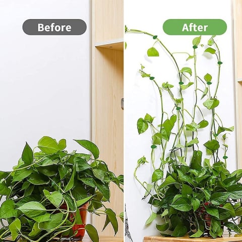 Cleme Agatat Plante Perete, Set 40, Adeziv 3M, Model Frunza si Melc, Verde, Suport plante agatatoare, Reutilizabile [3]