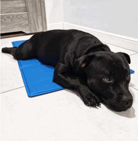 Covoras de racire cu gel, pentru caini si pisici, impermeabil, albastru, 40x30 cm [3]
