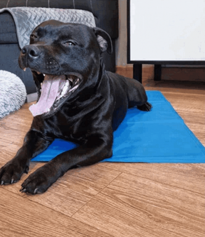 Covoras de racire cu gel, pentru caini si pisici, impermeabil, albastru, 40x30 cm [4]