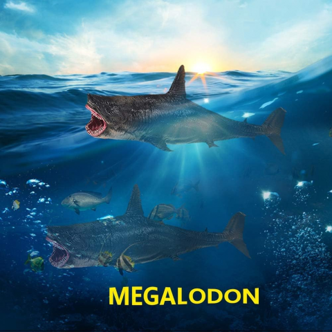 Figurină Megalodon, Jucărie de Colecție cu Rechin Preistoric, Model Realist din PVC pentru Copii, Colecționari și Decor Acasă [2]