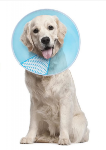 Pet shop - Guler de Protecție pentru Câini și Pisici Supet, Mărime M (Circumferință Gât 30-37 cm), Plastic, Albastru, Reglabil