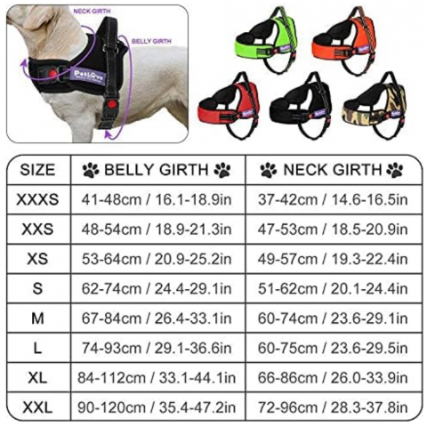 Ham pentru Caini, Reglabil, Captusit, Anti-Tractare, PetLove, Verde, Marimea XXS [2]