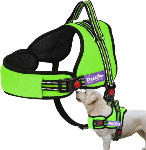 Pet shop - Ham pentru Caini, Reglabil, Captusit, Anti-Tractare, PetLove, Verde, Marimea XXS