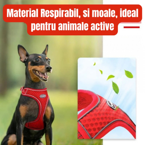 Ham Tip Vesta pentru Pisici si Caini mici, Material Moale si Respirabil, Reflectorizant, Ajustabil, Fara Tragere si Fara Sufocare, Marime XXS, Rosu inchis [2]