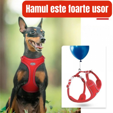 Ham Tip Vesta pentru Pisici si Caini mici, Material Moale si Respirabil, Reflectorizant, Ajustabil, Fara Tragere si Fara Sufocare, Marime XXS, Rosu inchis [3]