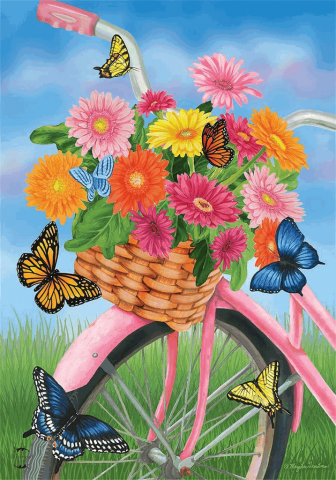 Jucării & Jocuri - Pictura pe Numere pentru Adulți, Cos de flori pe bicicleta, TISHIRON, 40x50 cm, TP7R