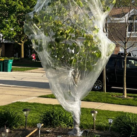 Plasă de grădină anti-insecte 2 × 9 m, Vocray, Plasă fină protecție plante, HDPE rezistent UV, Albă [6]