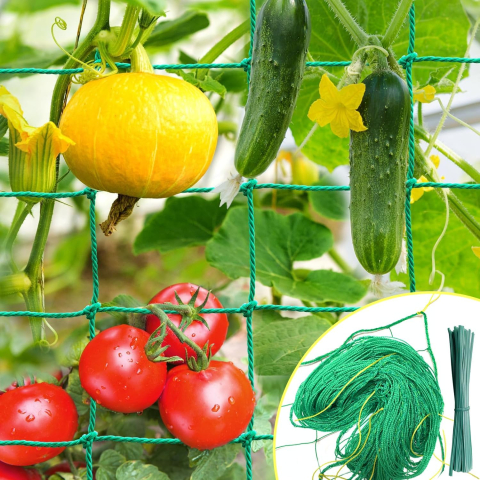 Grădină & Bricolaj - Plasa gradina pentru plante cataratoare, suport castraveti verde
