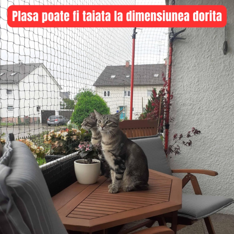 Plasa protectie pisici 4x3 m, balcon si fereastra, anti evadare, Diagonala ochi 3 cm, Nylon rezistent, Discreta si Rezistenta, montaj fara gaurire, Protectie anti pasari [3]