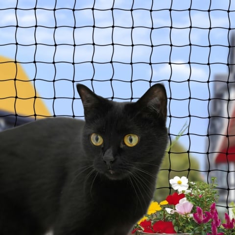 Plasa protectie pisici 4x3 m, balcon si fereastra, anti evadare, Diagonala ochi 3 cm, Nylon rezistent, Discreta si Rezistenta, montaj fara gaurire, Protectie anti pasari