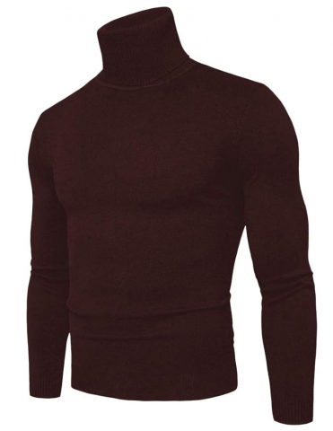 Îmbrăcăminte Bărbați - Pulover barbati cu guler inalt, Slim Fit, tricotat din bumbac, CELANDA, maro, marime M