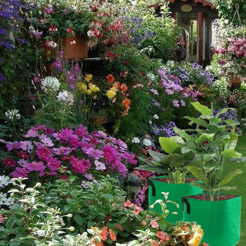 saci-plantare-valuehall-material-netesut-19l-cu-manere [4]