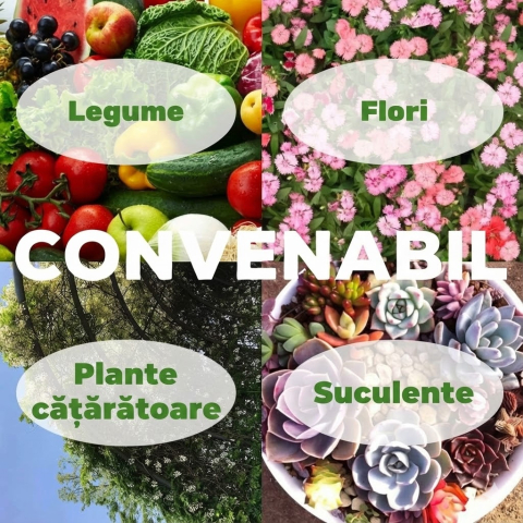 saci-plantare-valuehall-material-netesut-19l-cu-manere [5]