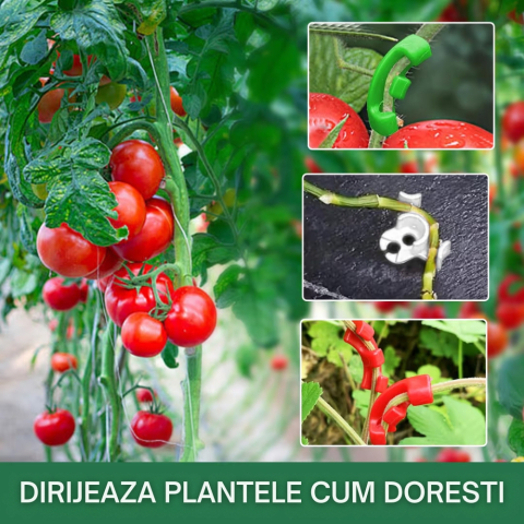 Set 120 cleme de indoire pentru plante 90 grade antrenament stres redus sustinere tulpini [2]
