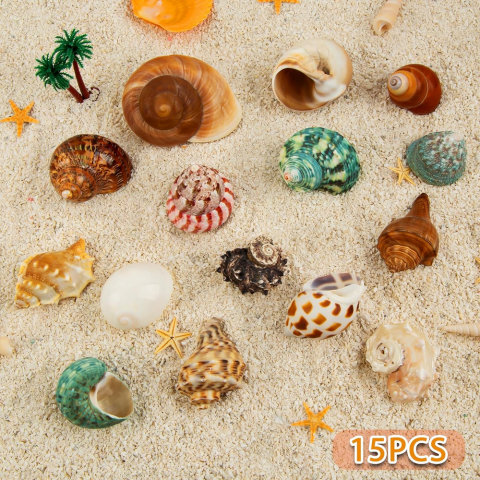 Set 15 cochilii naturale pentru crabi pustnici, dimensiuni 4 cm – 8 cm, ideale pentru acvarii marine, decoratiuni de plaja si proiecte creative, SKOOLOVE [5]