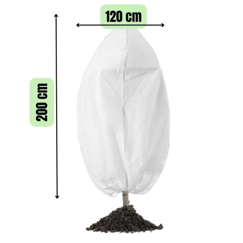 Husa anti inghet 200x120 cm 40g/m2 albe cu snur si top circular pentru palmieri si maslini [1]