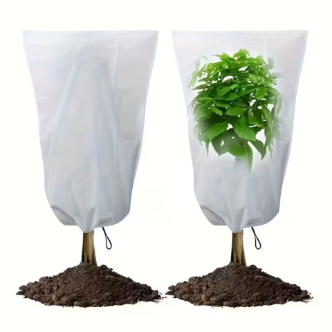 Grădină & Bricolaj - Set 2 huse antiinghet foarte usoare Vilmorin 160x160cm 30g/m² pentru plante fragile