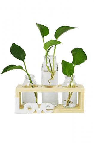 Casă, Grădină & Bricolaj - Set 3 Vaze din Sticla cu Suport din Lemn, Decorative pentru Hidroponice, Love, U5XV