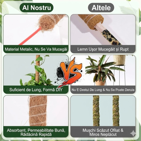 set-suporturi-plante-cocos-70cm-monstera-flexibile.jpg [4]