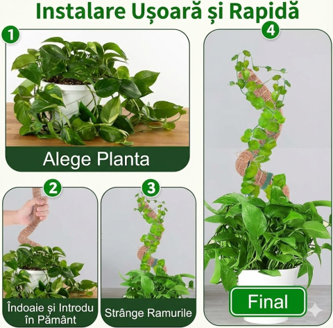 set-suporturi-plante-cocos-70cm-monstera-flexibile.jpg [3]