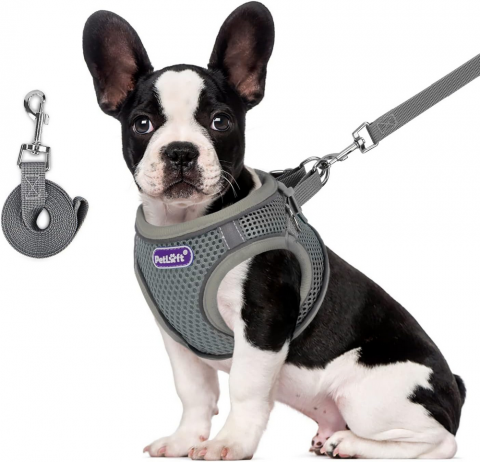 Pet shop - Set complet pentru caini mici si medii, Ham + lesa, PETLOFT, culoare gri, marime M