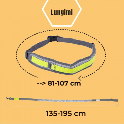 Set Lesa Hands-Free pentru Alergat impreuna cu Cainele si Centura Reglabila pentru Stapan cu Borseta si Saculet, Reflectorizanta, Elastica [4]